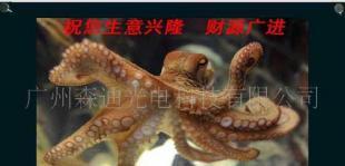 供應(yīng)供森迪觸摸廣告機(jī) 重塑樓宇賣場(chǎng)電梯場(chǎng)景的全新媒體終端